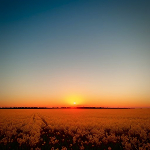 RION揉尽神乳120分钟
